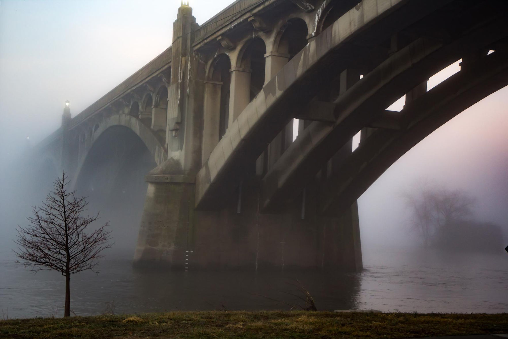 morning fog